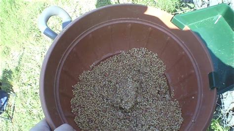 Что нужно сделать на рыбалке? - YouTube