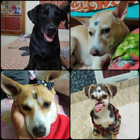 Posture Perfect Life - Having good posture can improve your confidence