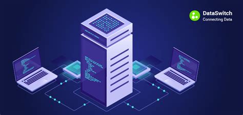 Data Democratization: A Value-Add to Your Business - DataSwitch 