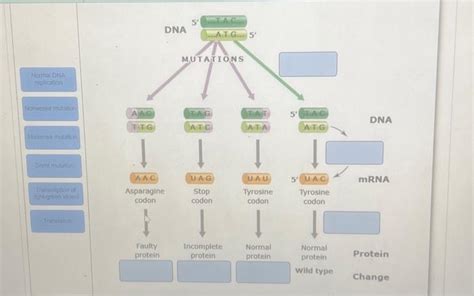 Solved match | Chegg.com
