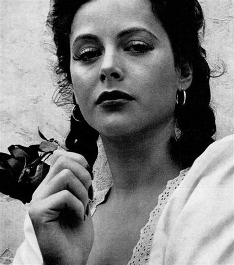 Hollywood Cinema Vintage Hollywood Hollywood Stars Classic Hollywood