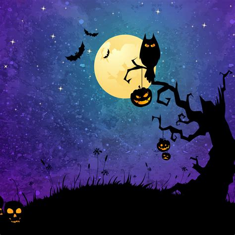 Halloween Background Wallpaper 4k Halloween Night Halloween Bats
