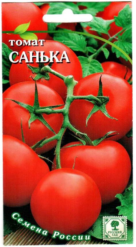 Томат санька: отзывы, описание сорта, фото, характеристика