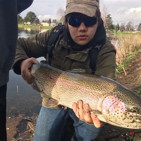 ᐅ Horseshoe Lake fishing reports🎣• St. Helens, WA (United States) fishing