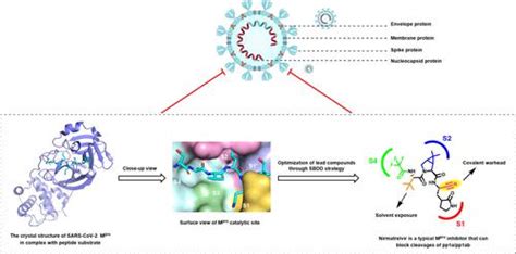 Conventional Understanding Of Sars Cov Mpro And Common Strategies For