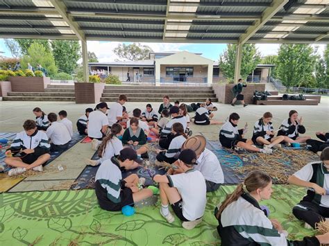 Gallery — 100% Aboriginal Owned Cultural Consultancy