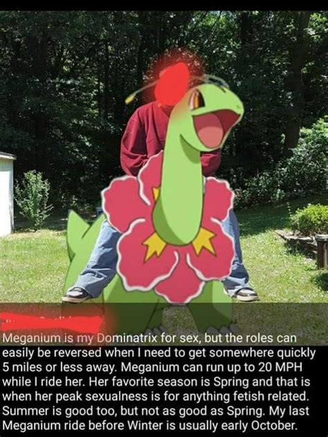 Wanting to fuck a Pokémon r justneckbeardthings