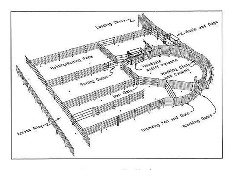 A Design Like The Picture Above Shows The Handling Cattle