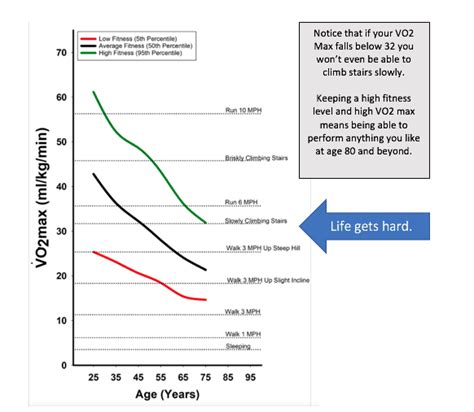 Vo2 Max Is A Vital Sign How To Measure It Hippevo