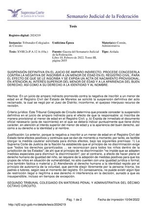 Inmatriculacion Judicial Formato 2 DEMANDA INICIAL C JUEZ CIVIL DE