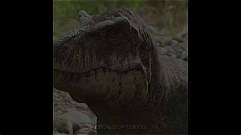 Deinosuchus Vs T Rex Youtube