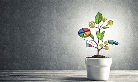Green Finance in a Different Color