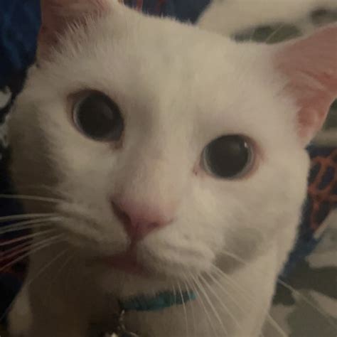 Stream Fuck My Crush By Positive Dust Listen Online For Free On Soundcloud