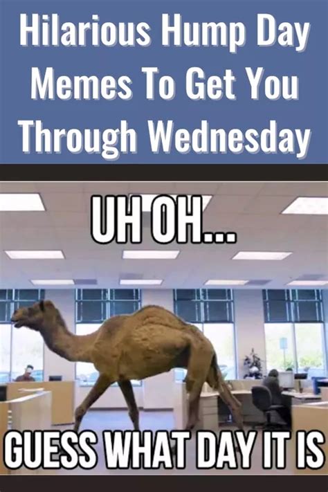 Happy Hump Day Meme