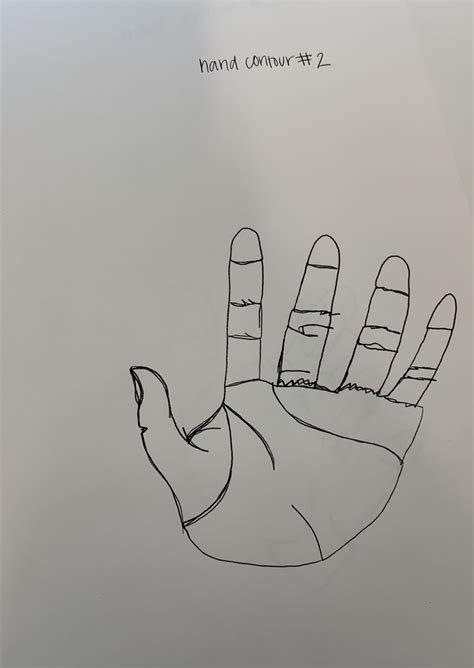 Modified Contour Hand Drawings Art By Angelina