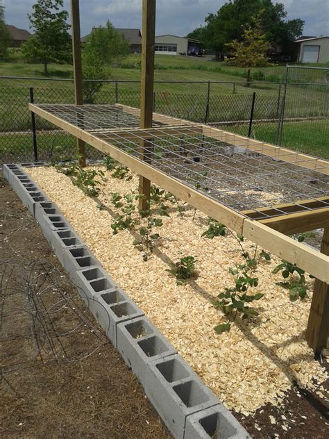 I Grow Vegetables How To Use Mulch In The Garden
