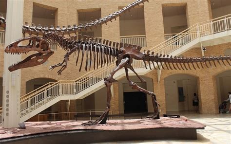 Fernbank Museum of Natural History | Best Self Atlanta