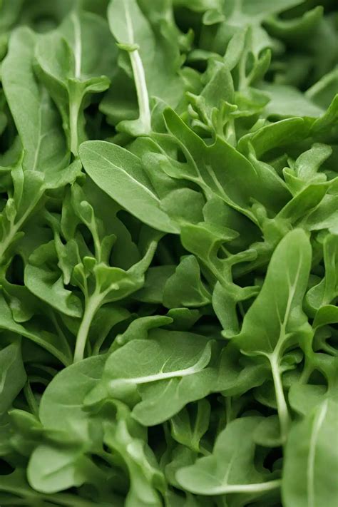 Homemade Rocket Pesto (Arugula Pesto) - Whole Natural Kitchen