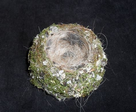 Мир зябликов