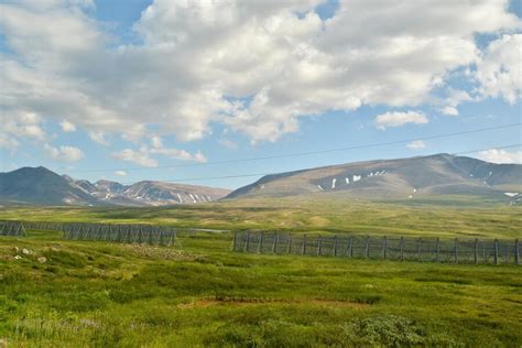 Premium Photo Tundra In The Polar Urals And The Main Ural Range