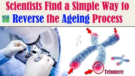 Scientists Find A Simple Way To Reverse The Ageing Process YouTube