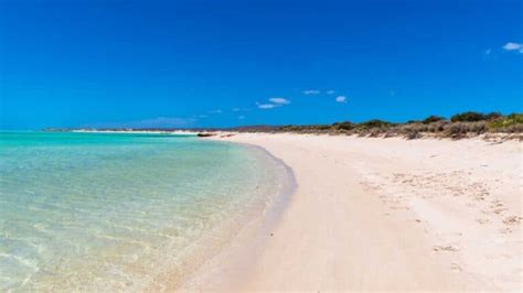 beautiful beaches  western australia   locals