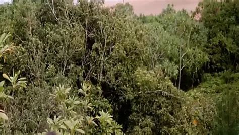 Free Prisoner Porn Videos Xhamster