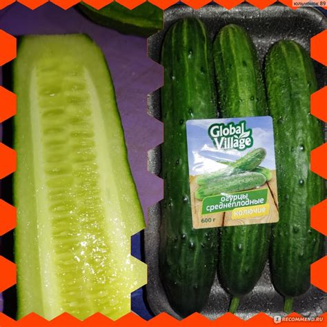 Огурцы среднеплодные Global Village Гладкие 600 г. - «Хороши и для ...