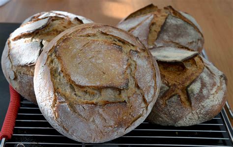 Sourdough loaves out of the over at The Wellwood Centre - Greenside Up