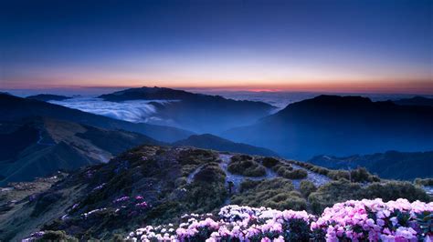 screensavers  wallpapers