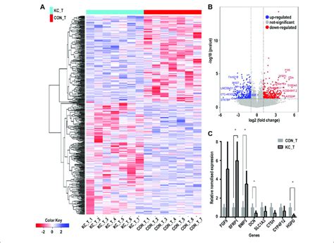 | Cluster analysis of differentially expressed genes in corneal ...