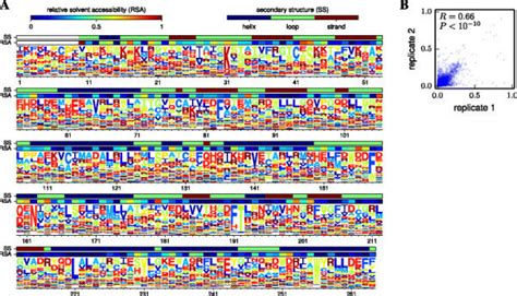 Site Specific Preferences From Deep Mutational Scanning Of A Tn5