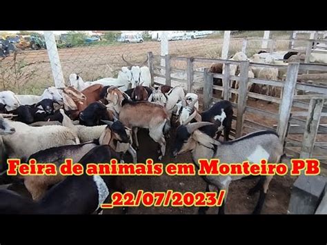 Feira De Caprinos E Ovinos Em Monteiro Pb Youtube