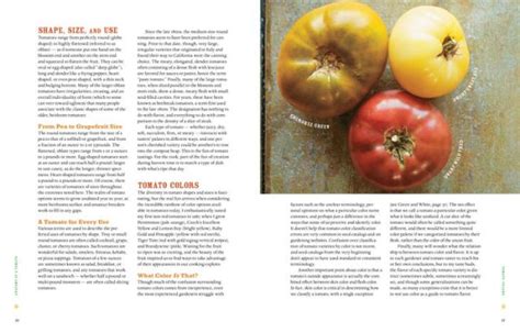 Epic Tomatoes How To Select And Grow The Best Varieties Of All Time By