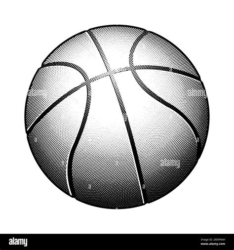 Illustration Of Scratchboard Engraved Basketball Stock Photo Alamy