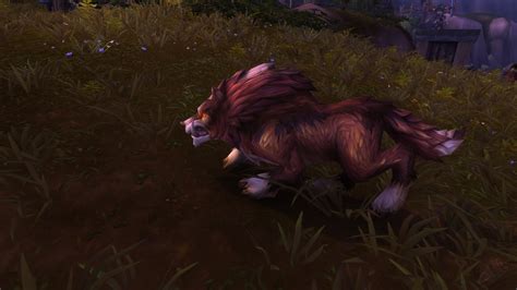 Jandvik Ripfang Npc World Of Warcraft