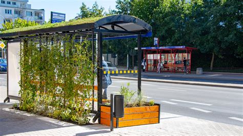 The Green Stops In Bialystok Receive Architecture Recognition Themayor Eu