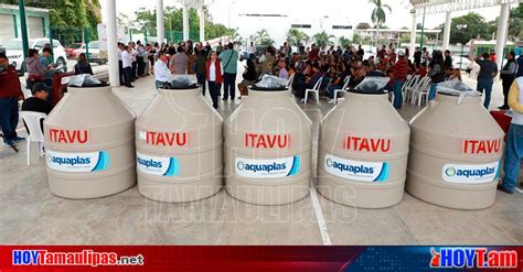 Hoy Tamaulipas Tamaulipas Sinergia Entre Ayuntamiento E Itavu Generan