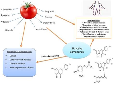 Foods Free Full Text Nutritional Composition And Bioactive