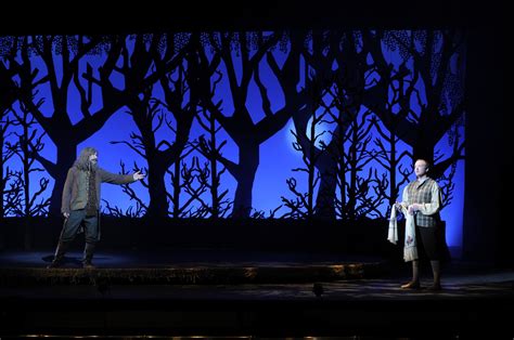 Forest Stage Scenery Trees Arvifo