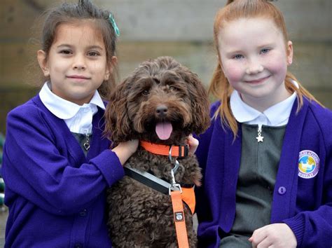 Jubilee Academy Mossley Achieves Flagship Status Iqm