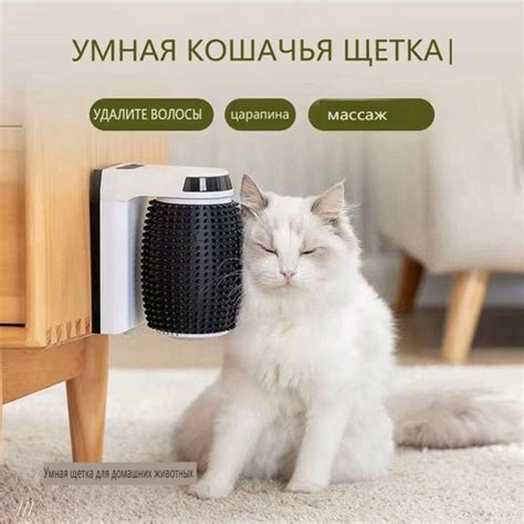 Чесалка для кошек угловая с кошачьей мятой, Инструмент для вычесывания ...