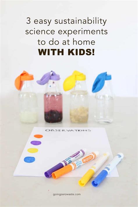 simple sustainability science experiments    home  kids