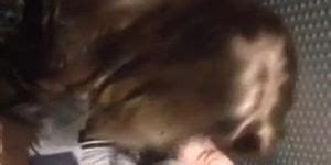 Horny Couple Caught Fucking In Club Toilet Tnaflix