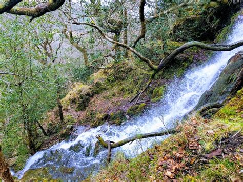 [OC] A Stunning Waterfall in Wicklow National Park, Ireland (1536x1024 ...