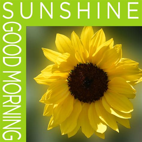 Good Morning Sunshine Poster Free Stock Photo - Public Domain Pictures