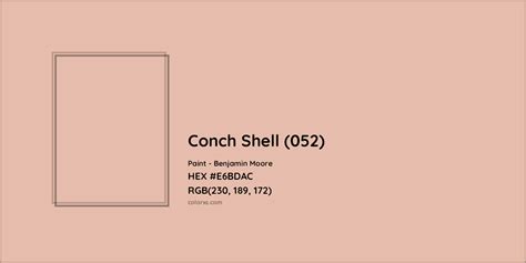 Conch Shell 052 Complementary Or Opposite Color Name And Code