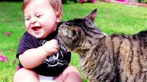 cutest babies play  dogs  cats compilation cool peachy youtube