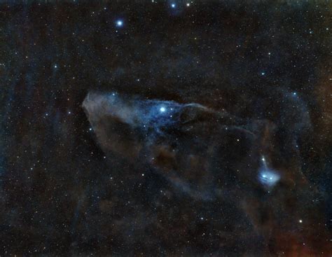 Ic4592 The Blue Horse Head Nebula Rgb Tim Mccollum Astrobin