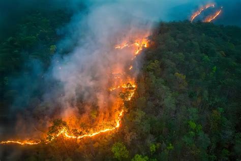 Incendios Forestales En Colombia Causas Consecuencias Y Aportes